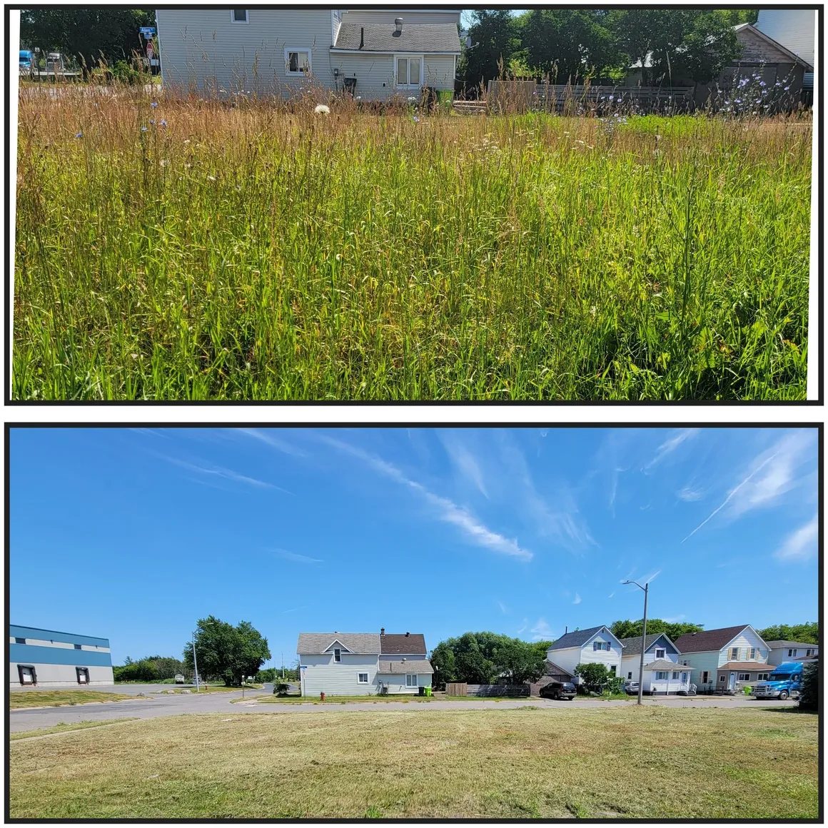 TLC Cleanups project