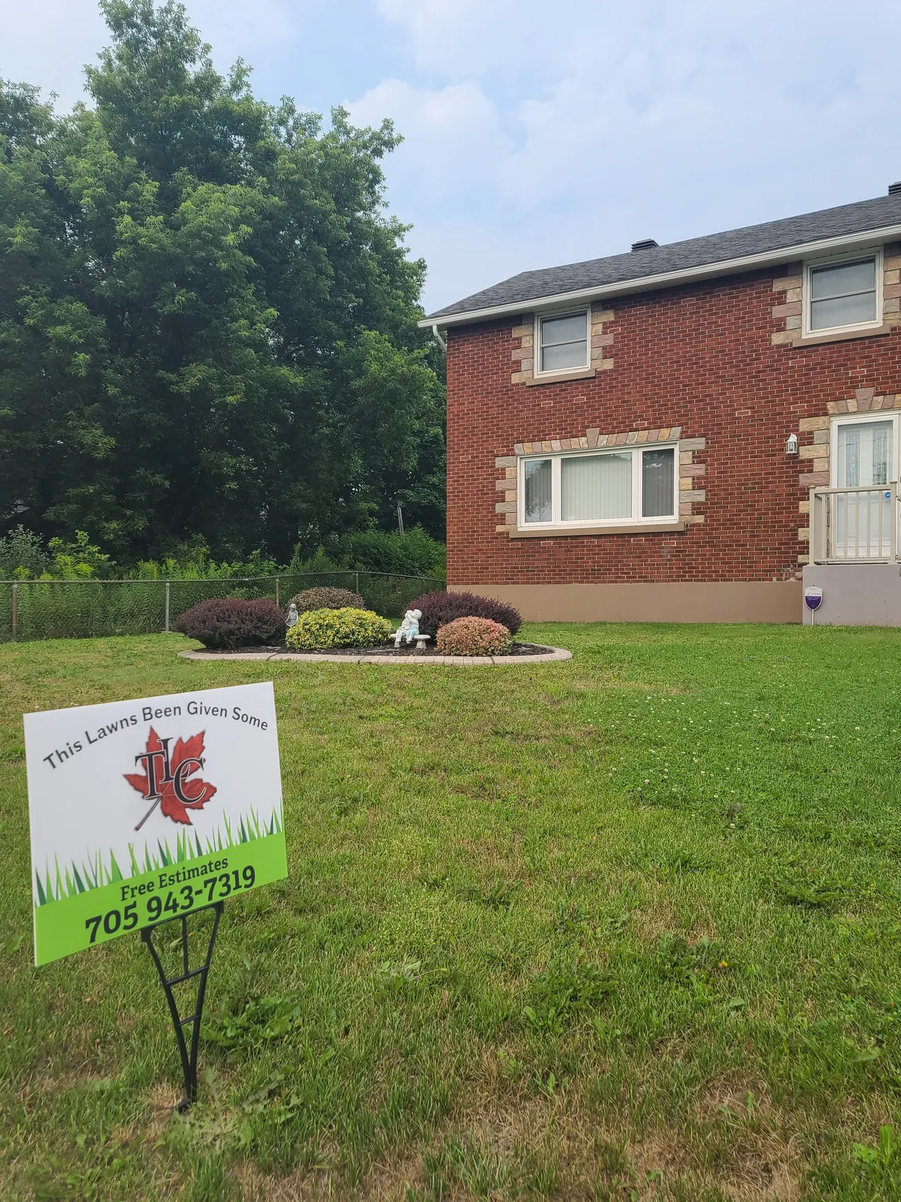 TLC Cleanups project