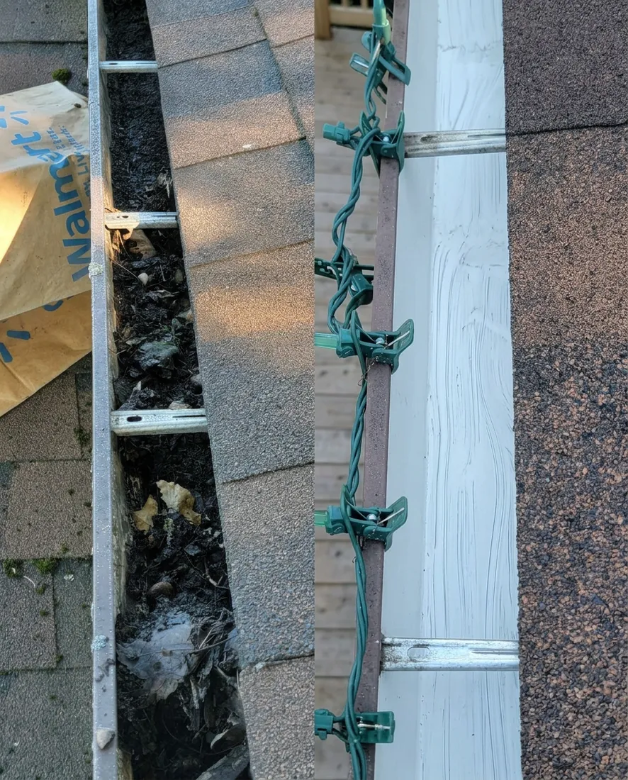 Eavestrough Cleaning
