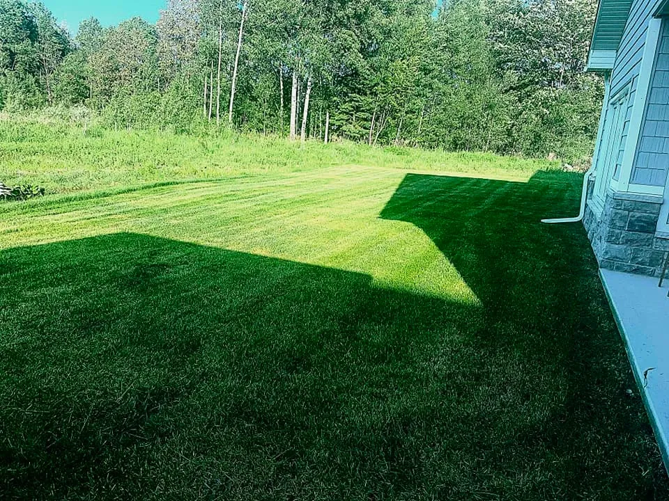 TLC Fencing project