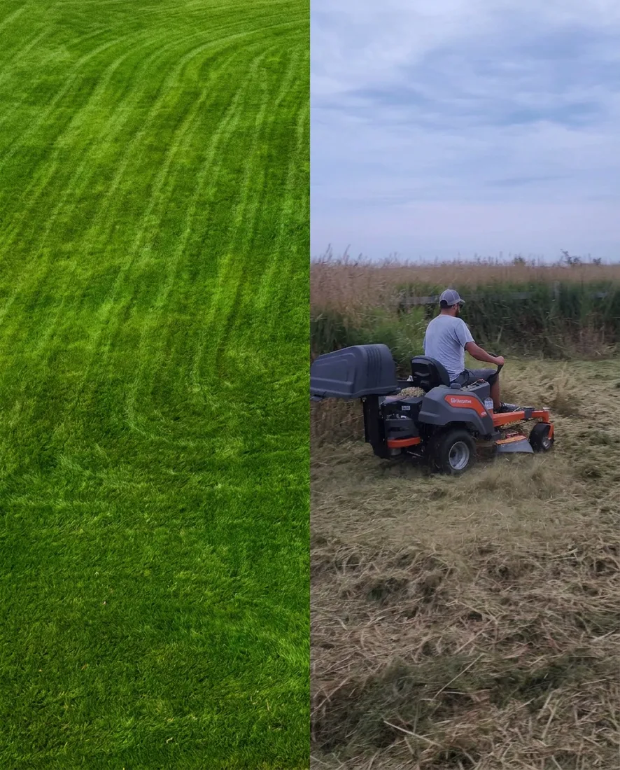 Grass and Brush Cutting