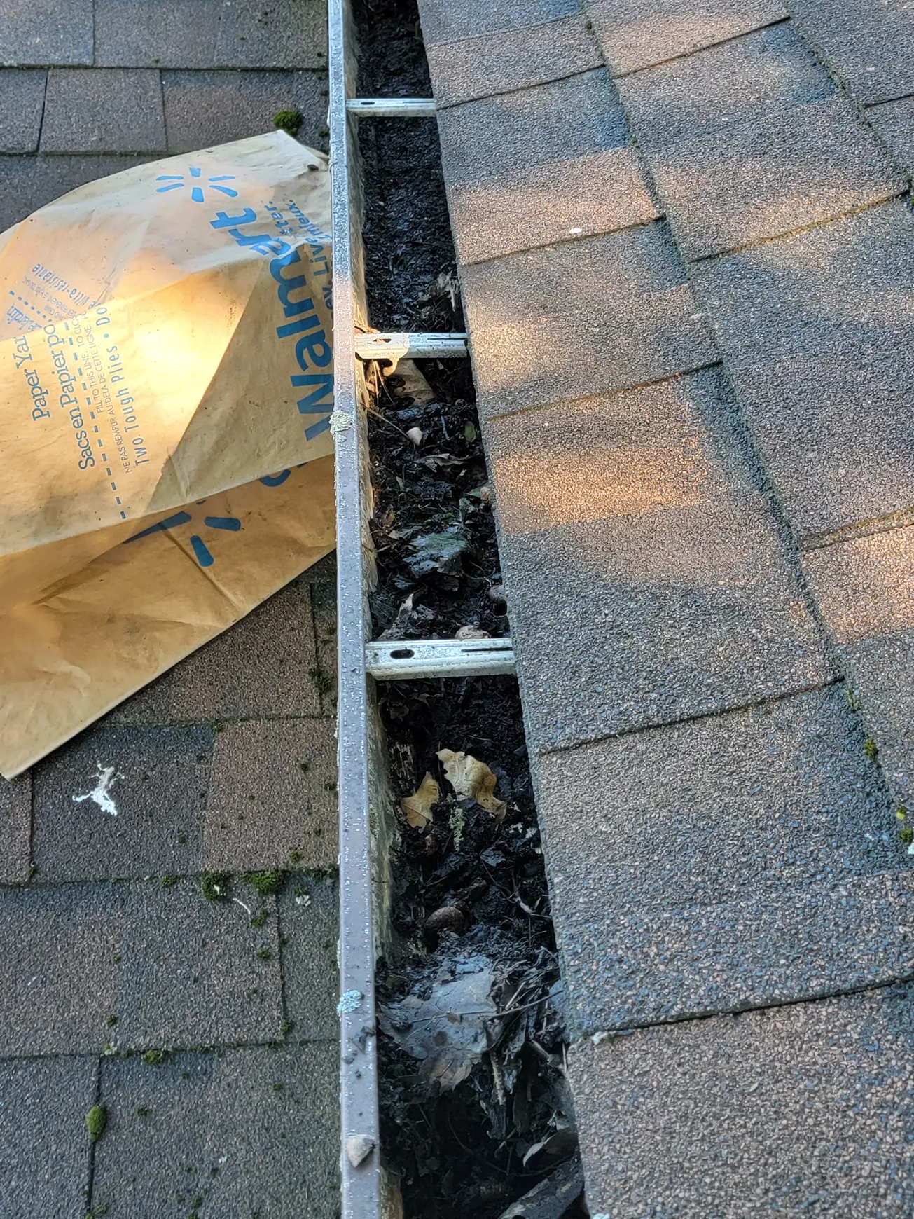 TLC Gutters project