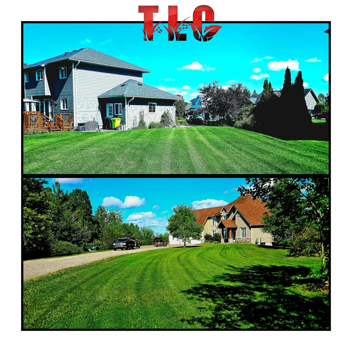 TLC Landscaping project