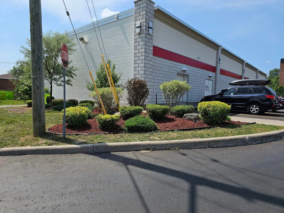 TLC Landscaping project