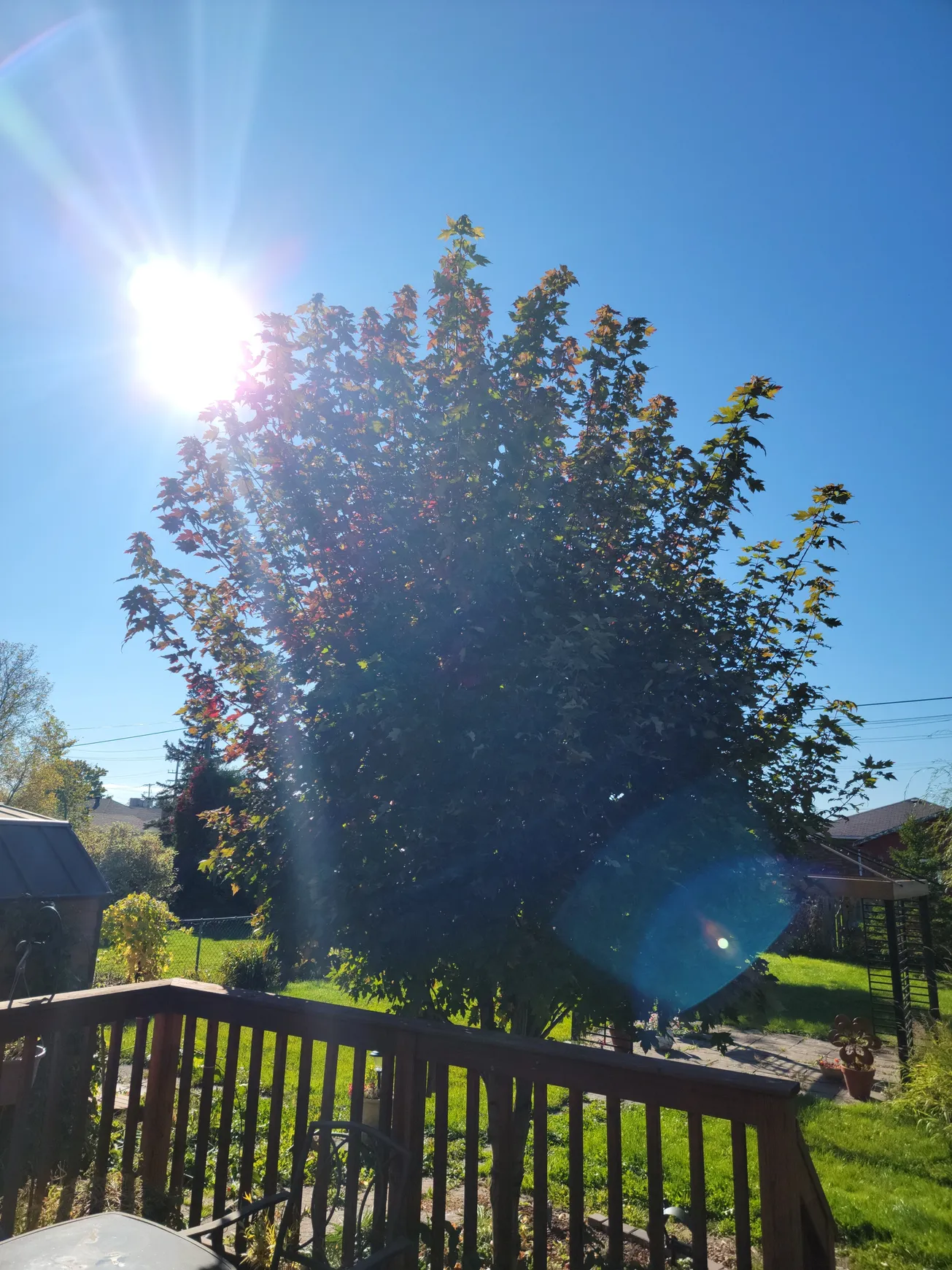 TLC Landscaping project