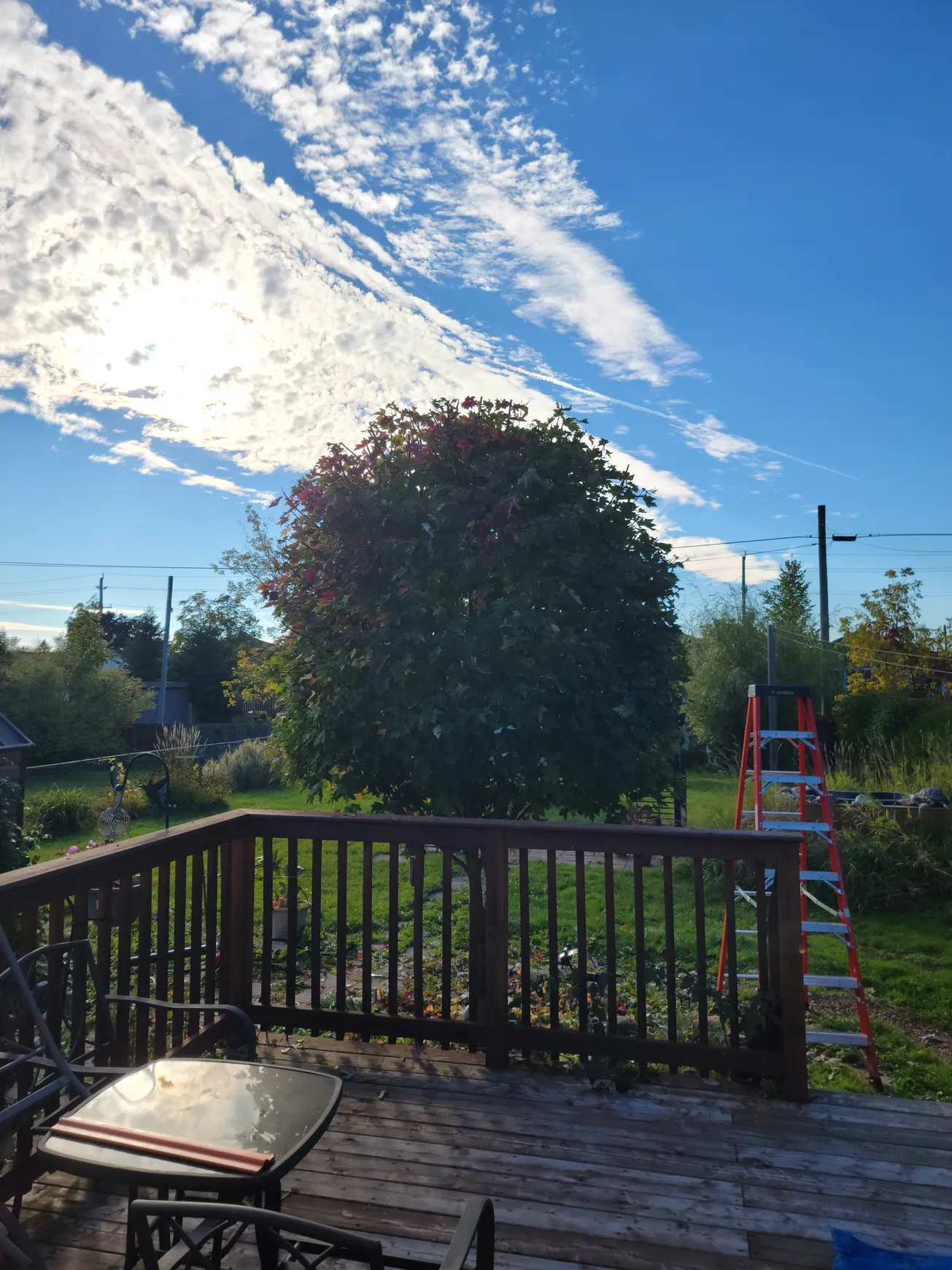 TLC Landscaping project