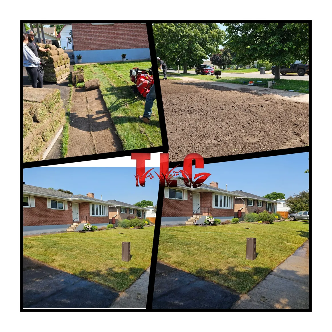TLC Lawn Care project