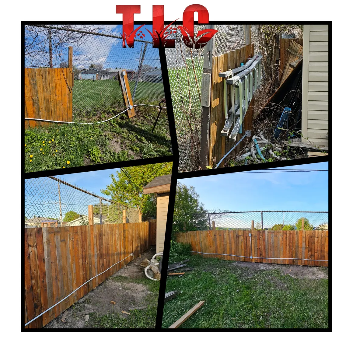 TLC Lawn Care project