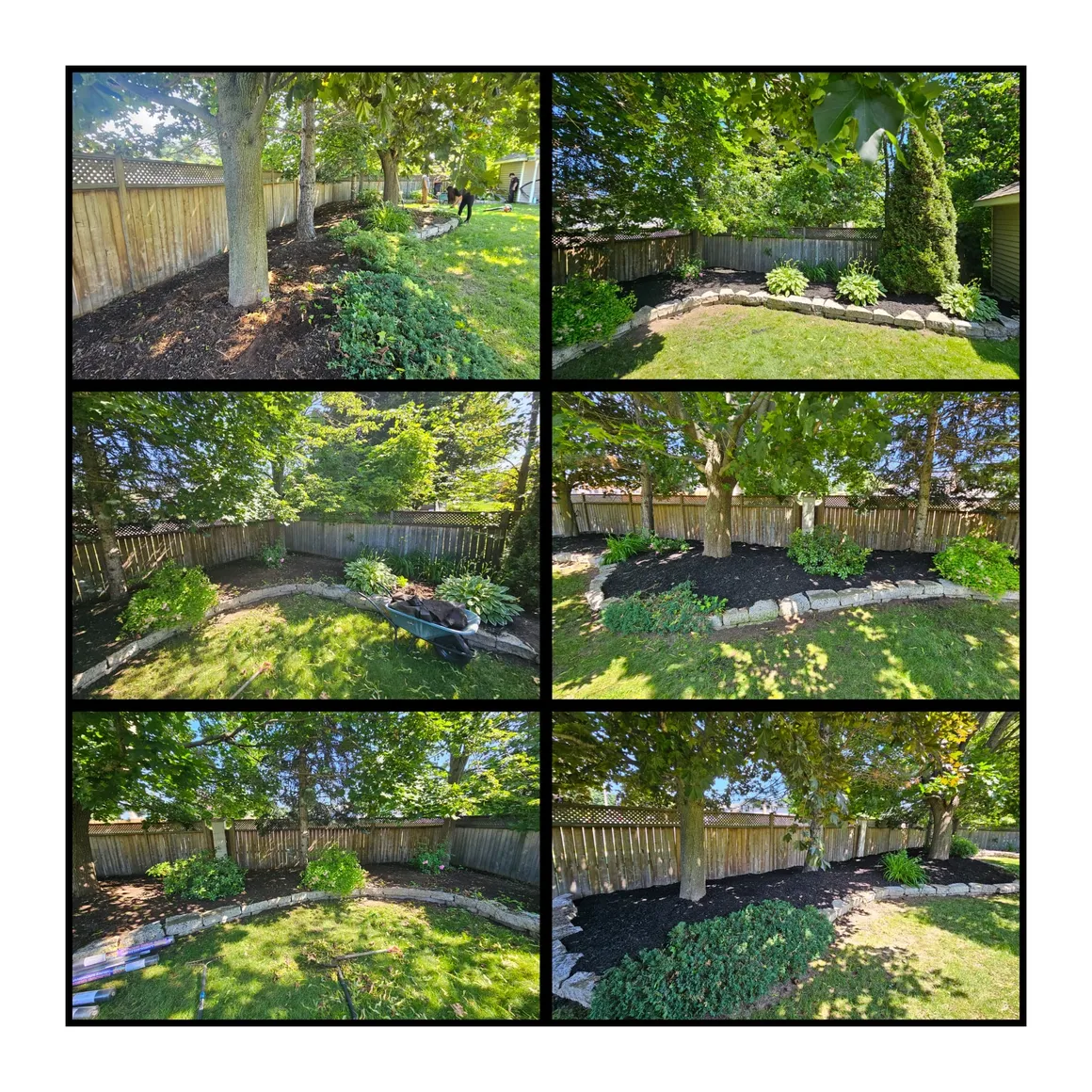 TLC Lawn Care project