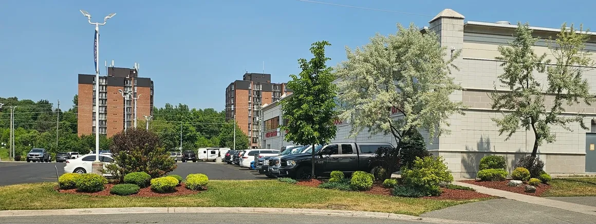 TLC Lawn Care project