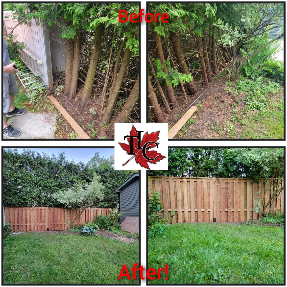 TLC Lawn Care project