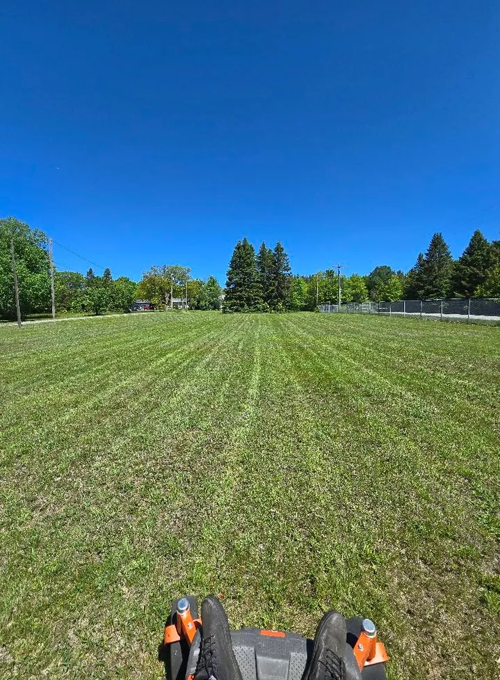 TLC Lawn Care project