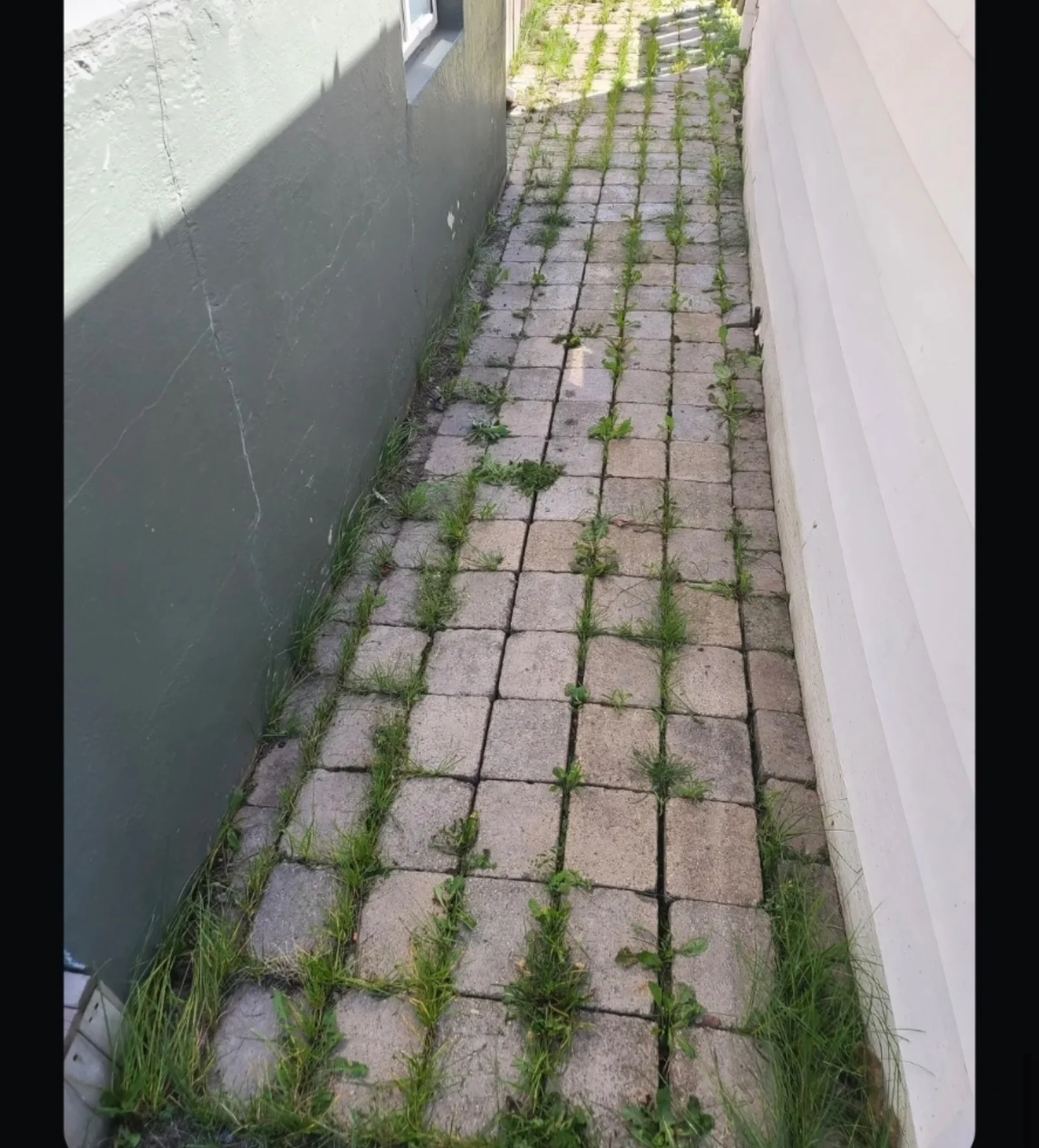 TLC Power Sweeping project