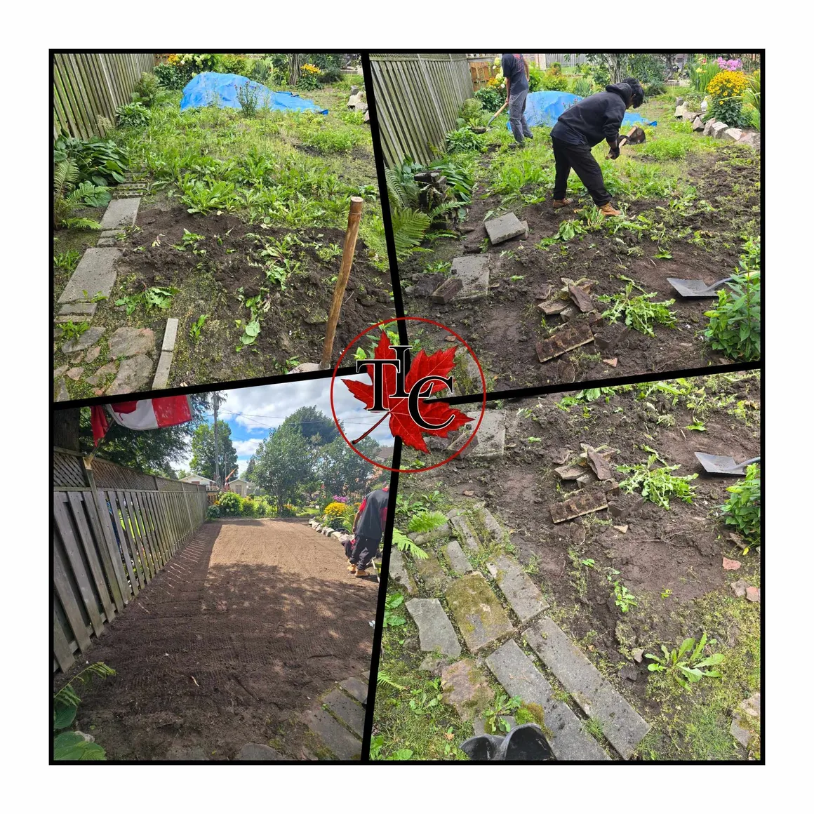 TLC Power Sweeping project