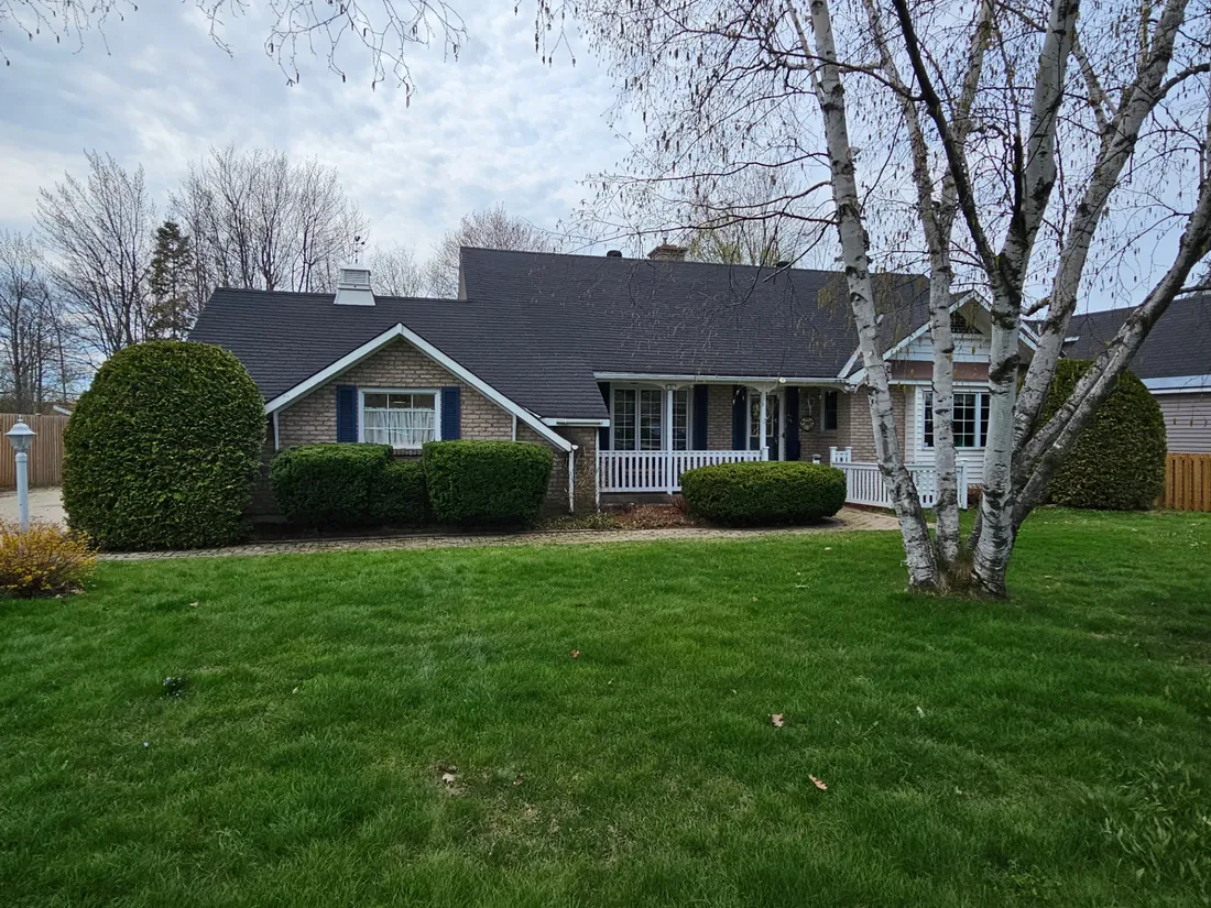 Hedge Trimming